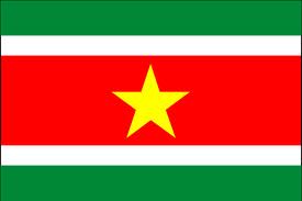 Vlag Suriname